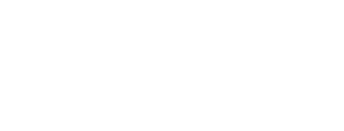 bingalum-logo-logo-reverse-rgb